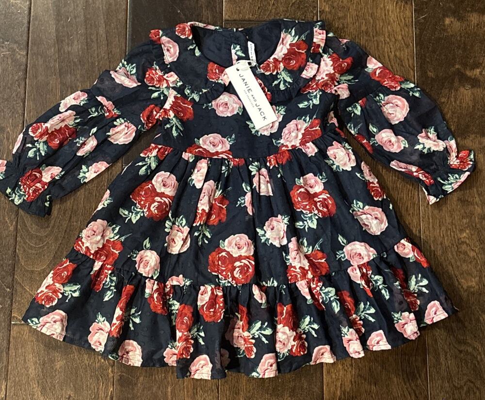 Janie and Jack Girls Holiday 1 Floral Navy Boe Dress 18-24 months